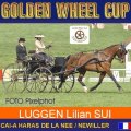 LUGGEN Lilian SUI 5th Place Dressage Golden Wheel CUP Single Driving CAI-A Haras De La Nee France, 49,15  Points